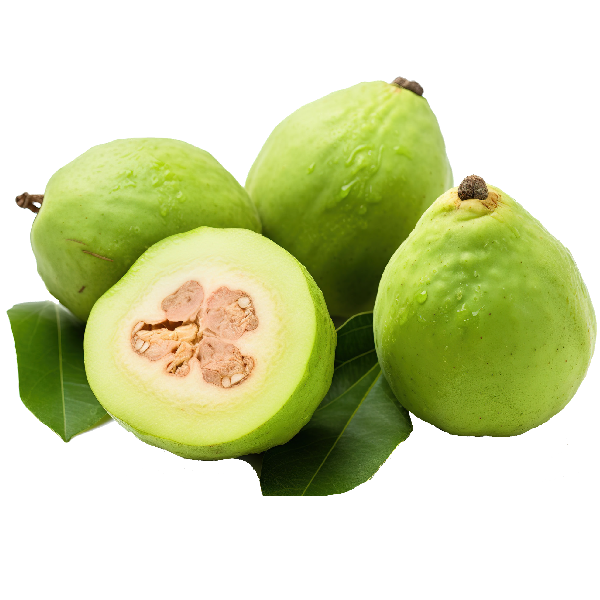 Guava